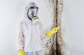 Best Commercial Mold Inspection in West Kittanning, PA